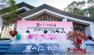 我们爱韶山的红杜鹃