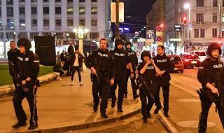 维也纳咖啡 维也纳咖啡