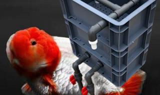 自制鱼缸过滤器 自制鱼缸过滤器