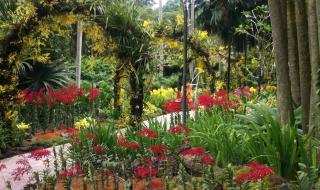 新加坡地铁 新加坡地铁