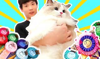 摸摸鱼战争模拟器